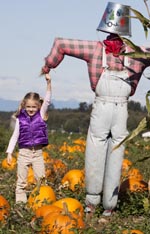 Pumpkin Patch 2009