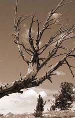 Wind River Range 2006