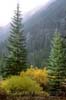 Alpine Lakes Fall