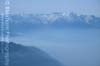 Forest Fire Smoke