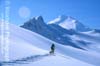 Skier and Dog