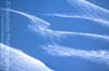 Windswept Snow