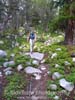 Green Trails