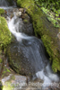 Snowgrass Creek