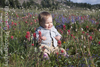 Snowgrass Hailey