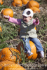 Stuck on a Pumpkin