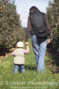 Walking the Orchard