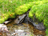 Mountain Stream