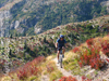 Boundary Trail