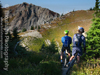 Trail Decision