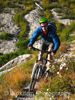Trail Riding