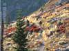 Fall Riding